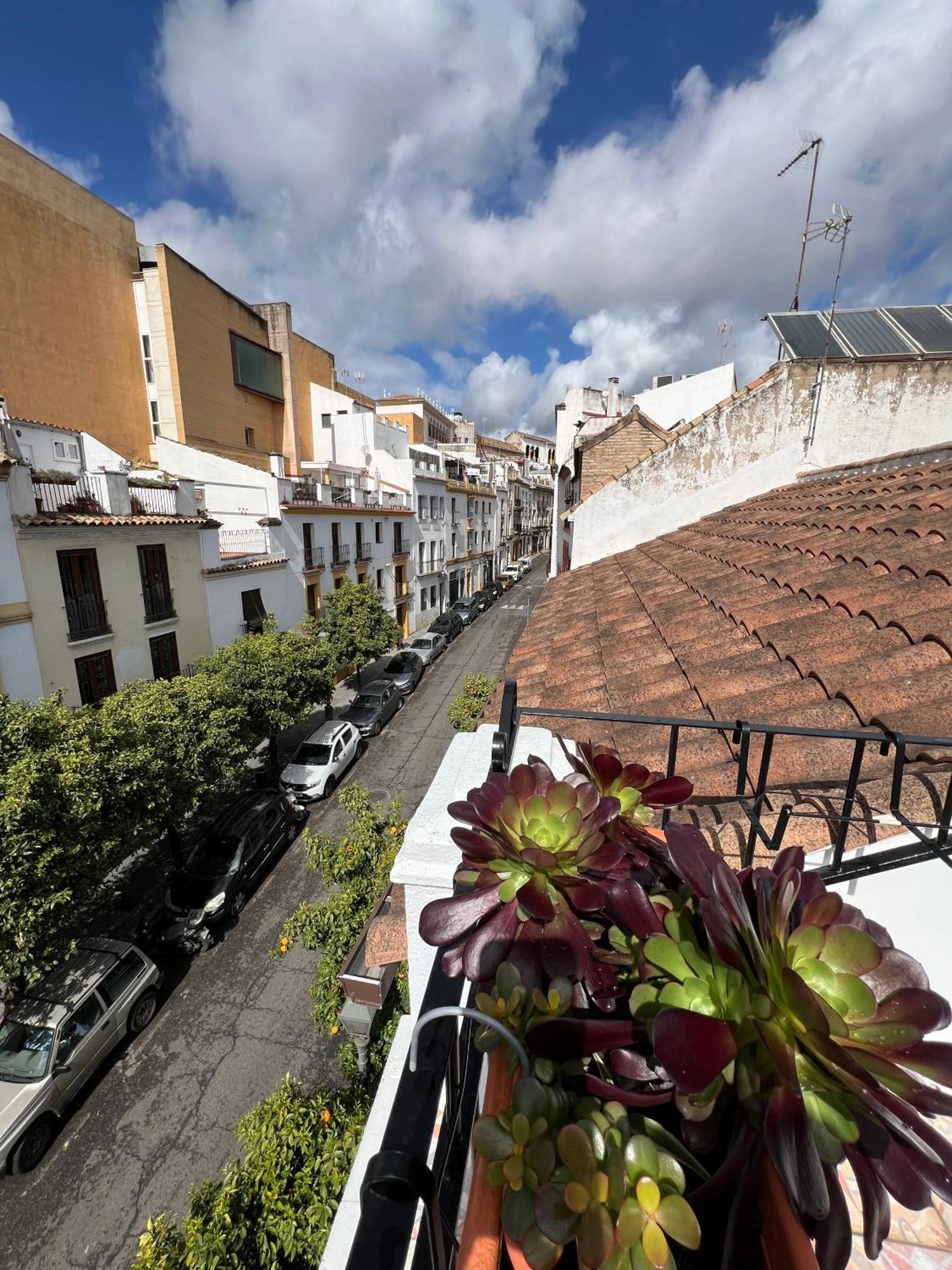 San Fernando 33 Córdoba Exterior foto