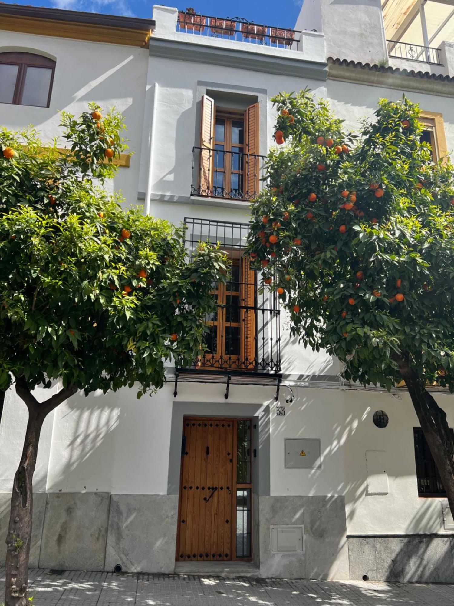 San Fernando 33 Córdoba Exterior foto